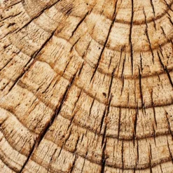 Indoor/Outdoor Faux Concrete Stump Accent Table Brown - Threshold™ Designed With Studio McGee 11 Indoor/Outdoor Faux Concrete Stump Accent Table Brown - Threshold™ Designed With Studio McGee -Featured Furniture Stores GUEST 03deabfd 2b62 4725 94b4 09a321ea8678