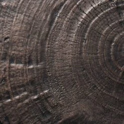 Grantsville Drum Accent Table Black - Threshold™ Designed With Studio McGee 10 Grantsville Drum Accent Table Black - Threshold™ Designed With Studio McGee -Featured Furniture Stores GUEST 2a48e59f 9a1e 4d95 a641 6710dbd36ebe