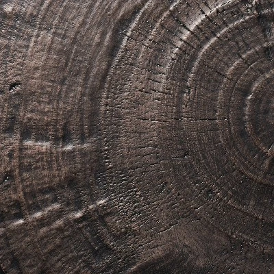 Grantsville Drum Accent Table Black - Threshold™ Designed With Studio McGee 6 Grantsville Drum Accent Table Black - Threshold™ Designed With Studio McGee - Image 4